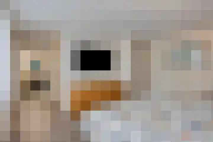 Gelein 12 Heerlen thumbnail 25