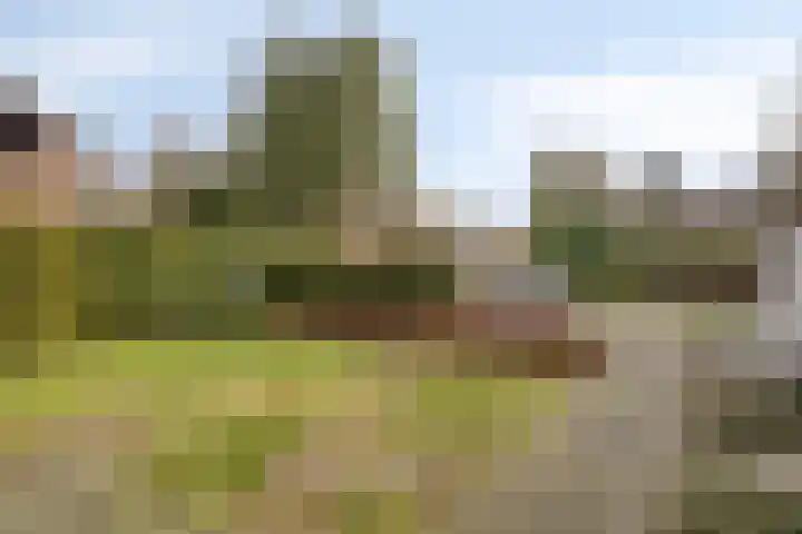 Gelein 12 Heerlen thumbnail 41