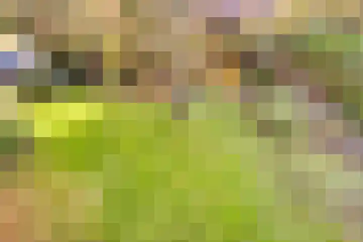 Gelrestraat 13 Mook thumbnail 38