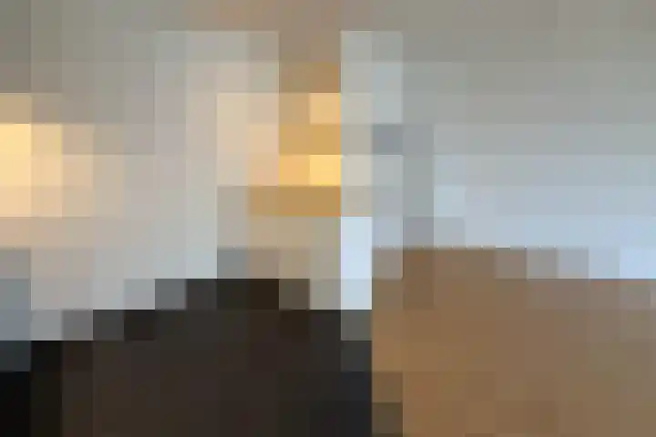 Gelrestraat 22 B Echt thumbnail 21
