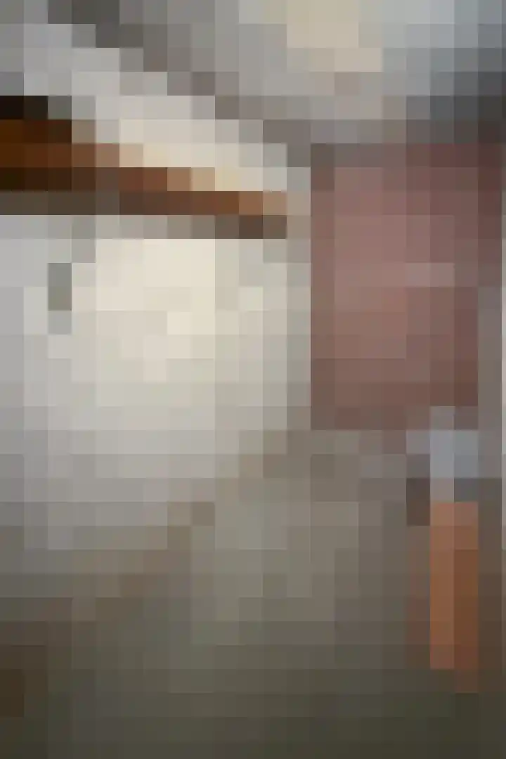 Gelrestraat 22 B Echt thumbnail 28