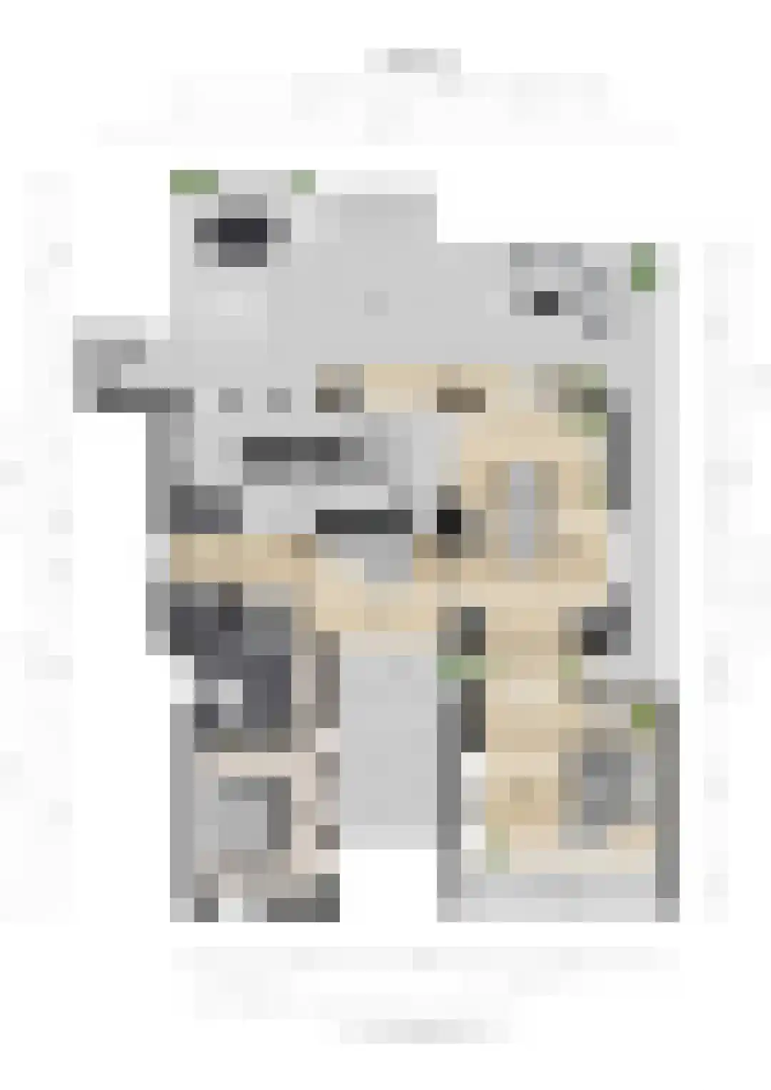 Gelrestraat 8 Mook thumbnail 121