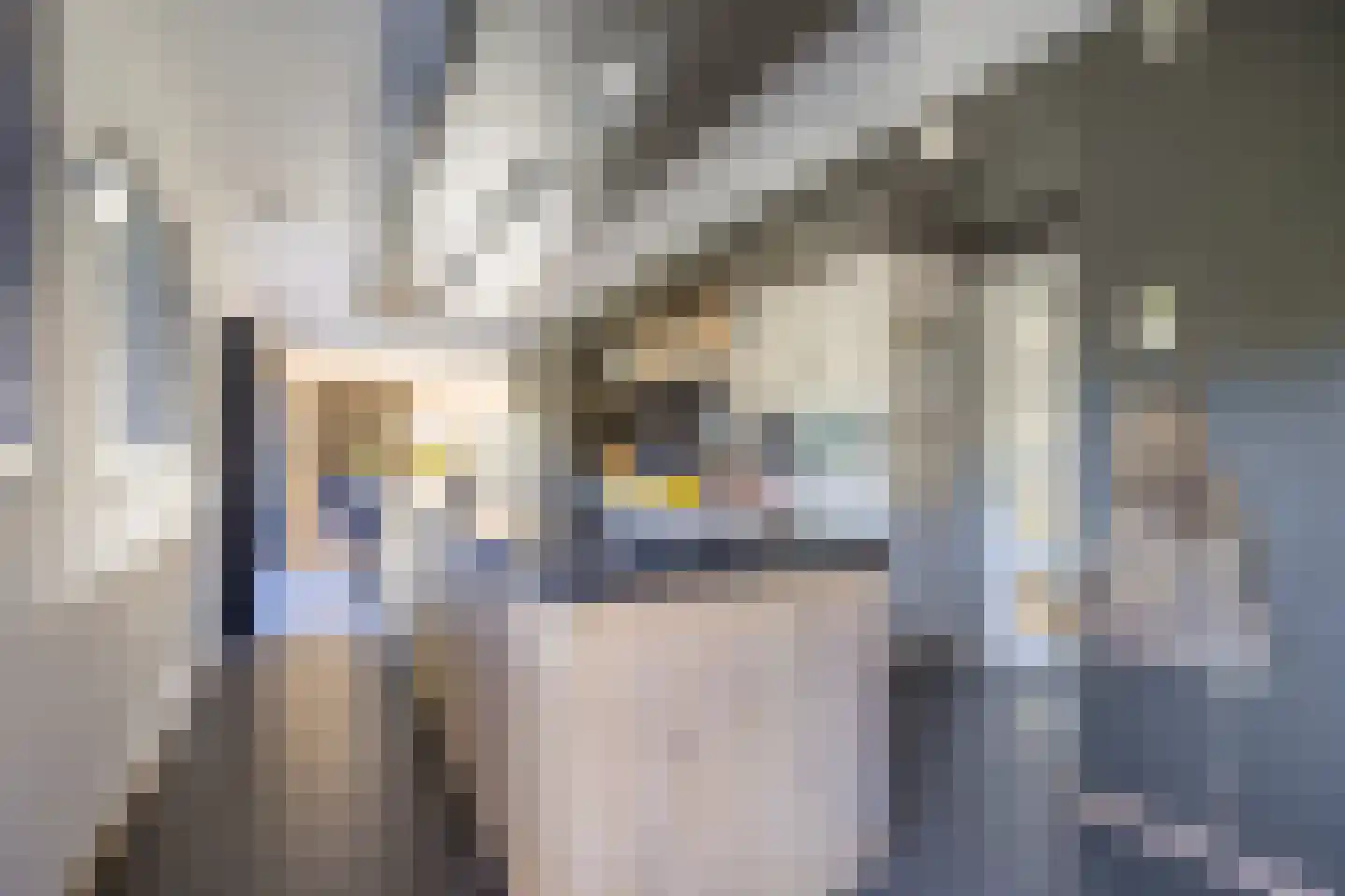 Gelrestraat 8 Mook thumbnail 20