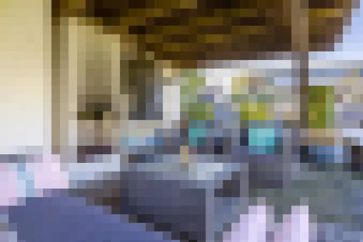 Gelrestraat 8 Mook thumbnail 89