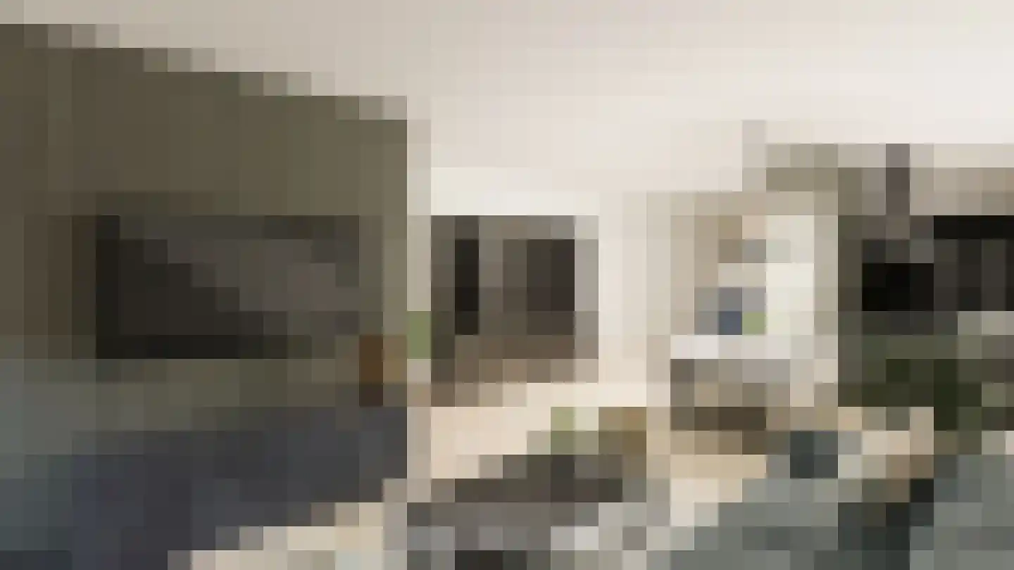 Gelrestraat 9 Echt thumbnail 5
