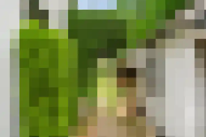 Gelria 2 Renkum thumbnail 10