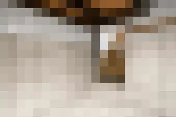 Gelria 2 Renkum thumbnail 37