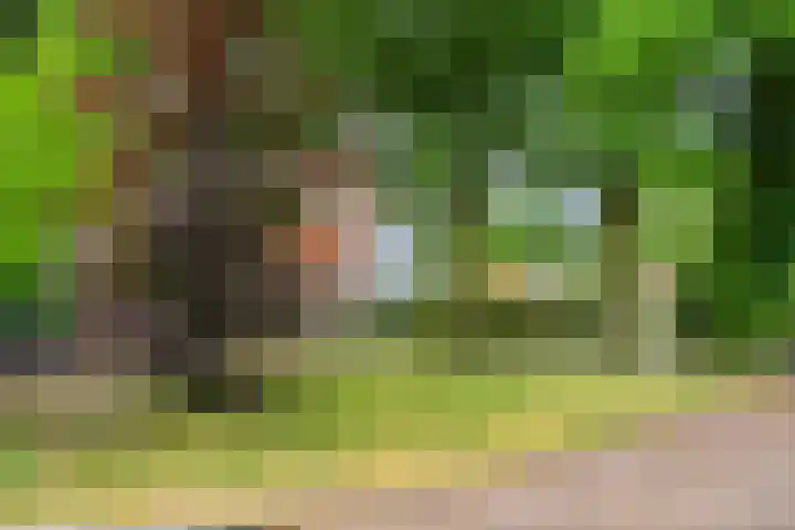 Gelria 2 Renkum thumbnail 39