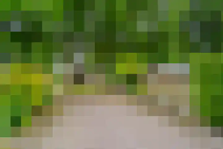 Gelria 2 Renkum thumbnail 4