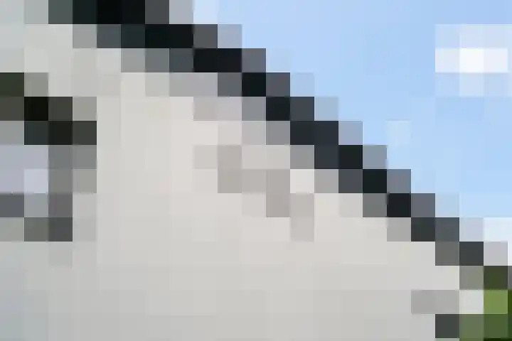 Gelria 2 Renkum thumbnail 6
