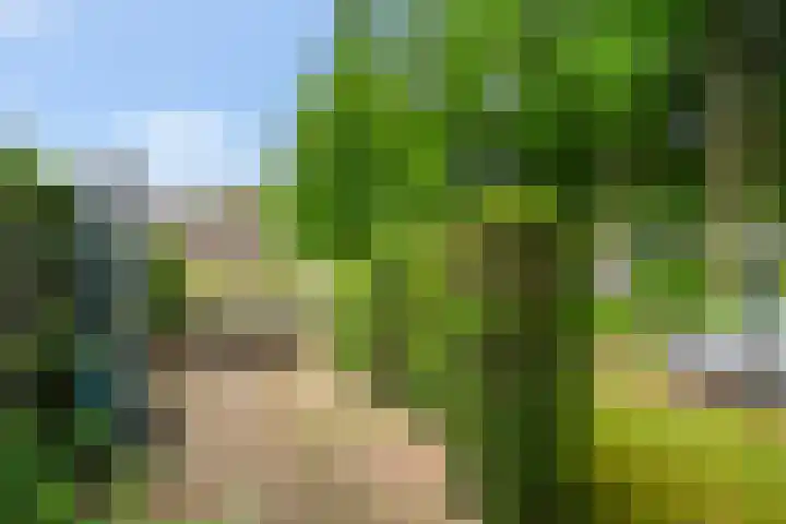 Gelria 2 Renkum thumbnail 8