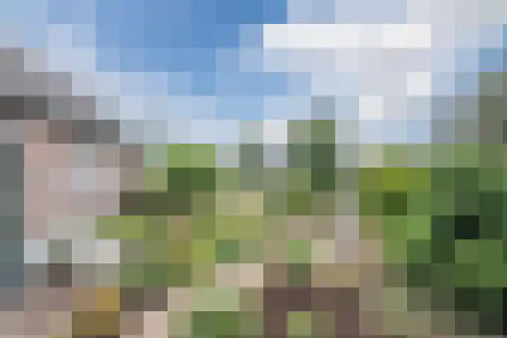 Geluckweg 8 Erp thumbnail 37