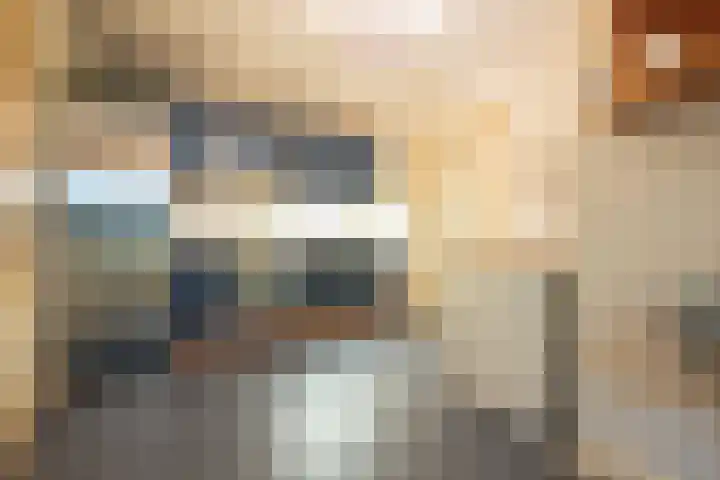 Gember 7 Oud Gastel thumbnail 21
