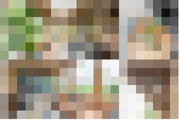 Gember 7 Oud Gastel thumbnail 23