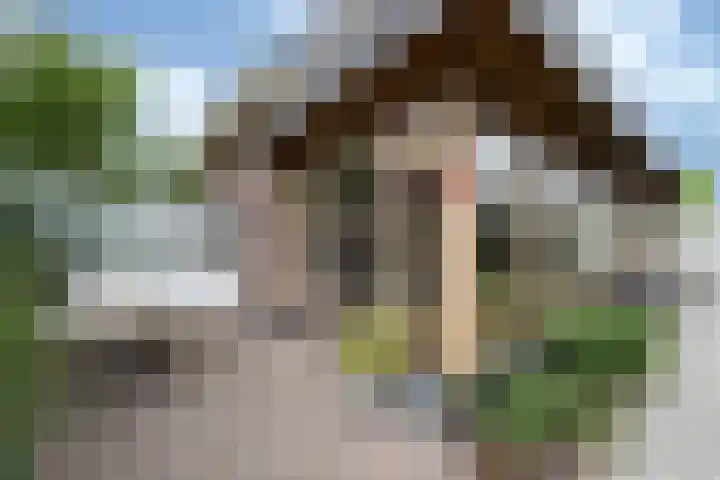 Gember 7 Oud Gastel thumbnail 30