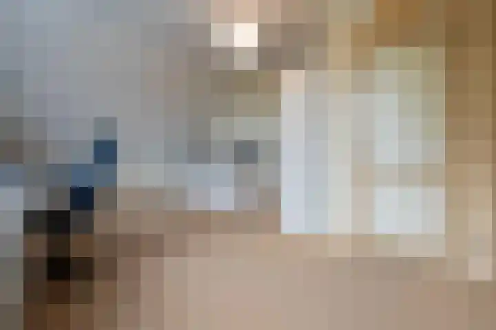 Gember 7 Oud Gastel thumbnail 46