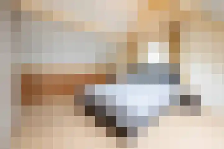Gember 7 Oud Gastel thumbnail 47