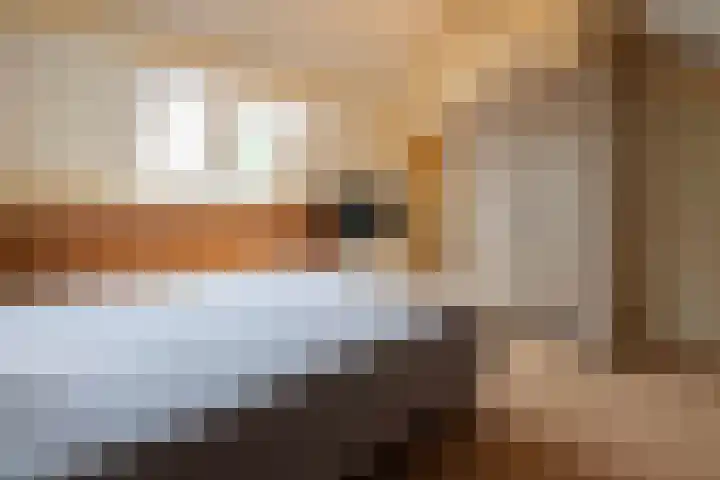 Gember 7 Oud Gastel thumbnail 48