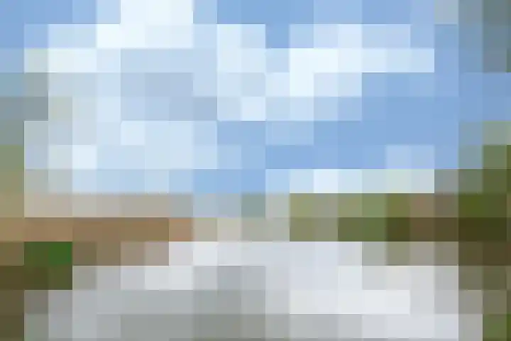 Gember 7 Oud Gastel thumbnail 5