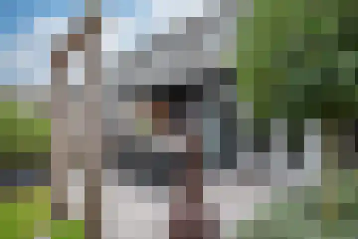 Gemeenteweg 299 g Staphorst thumbnail 29