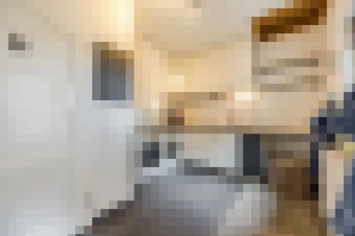 Gemeintje 4 Lithoijen thumbnail 10