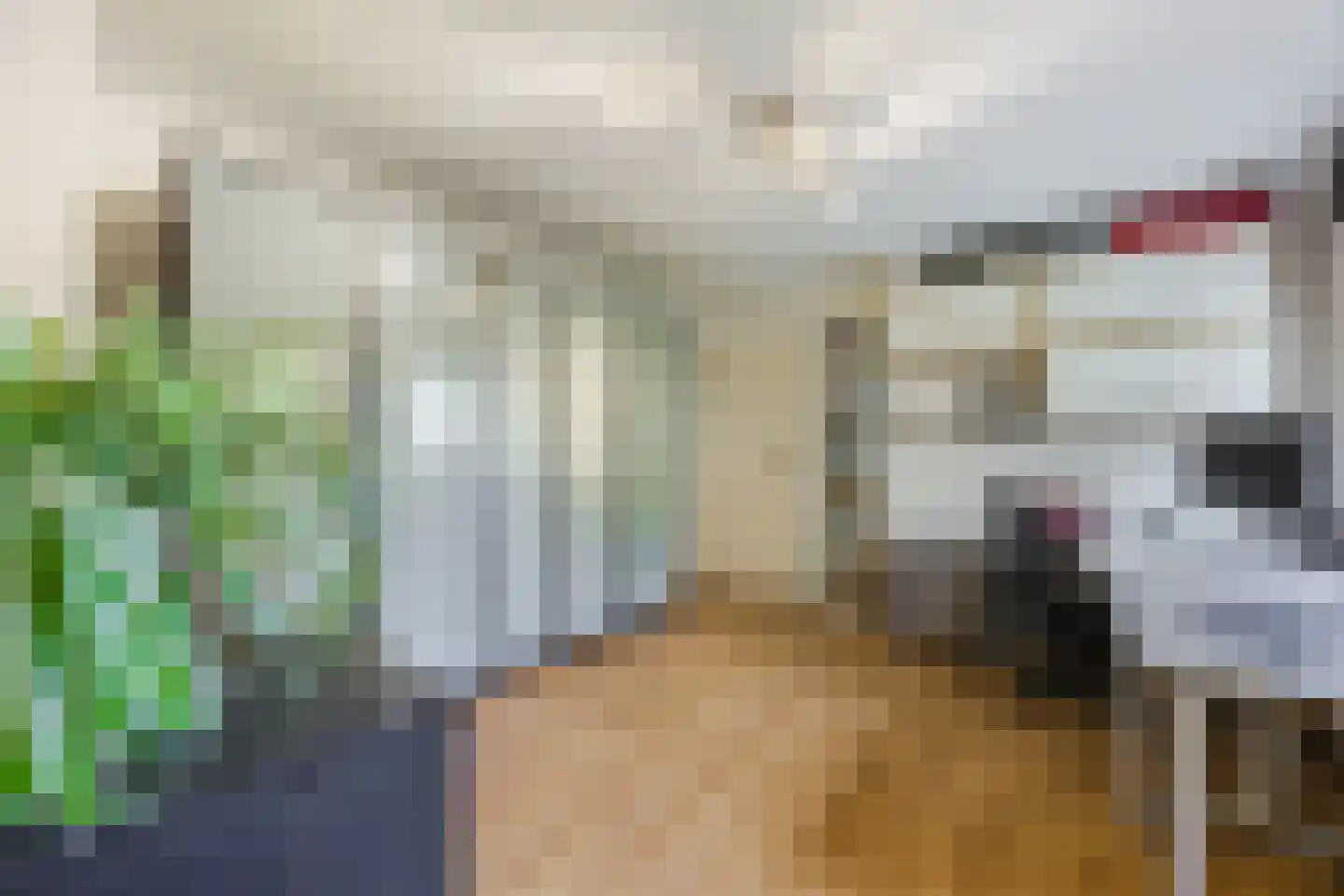 Gemeintje 4 Lithoijen thumbnail 23