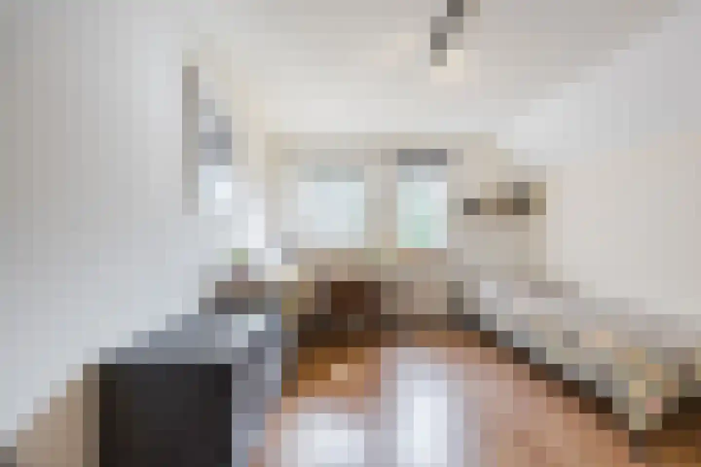 Gemeintje 4 Lithoijen thumbnail 25