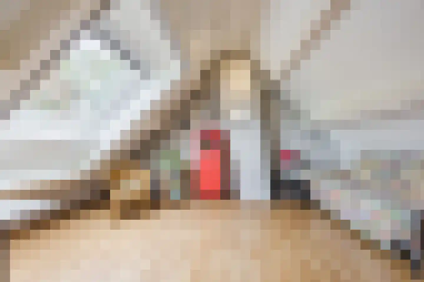 Gemeintje 4 Lithoijen thumbnail 28