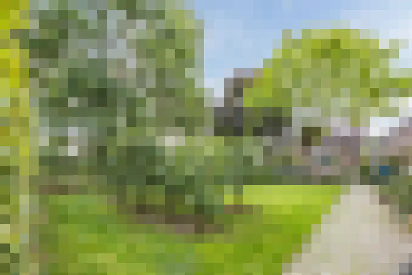 Gemeintje 4 Lithoijen thumbnail 32
