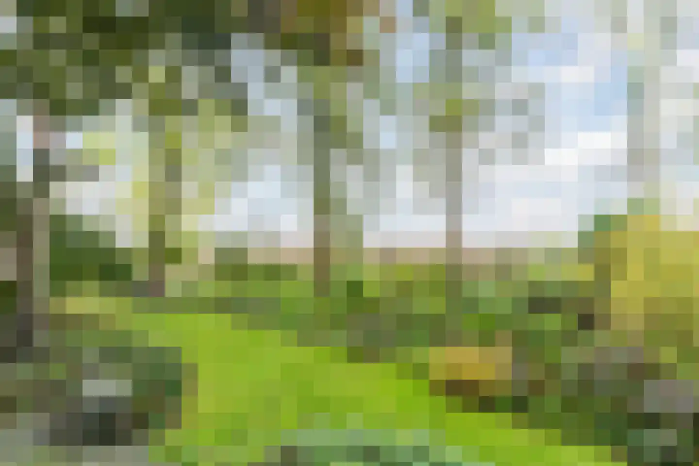 Gemeintje 4 Lithoijen thumbnail 38