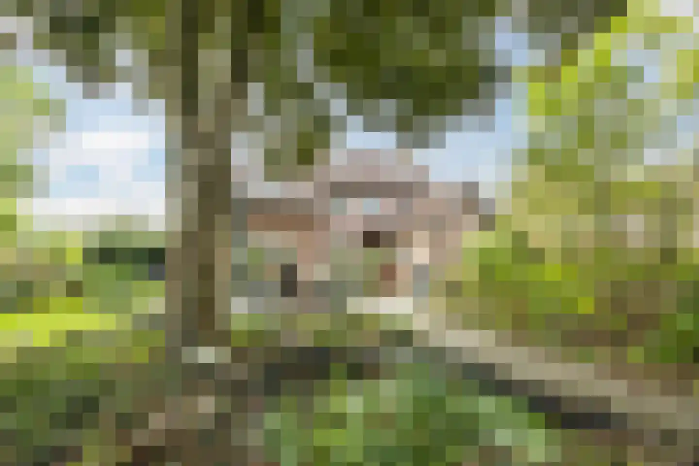Gemeintje 4 Lithoijen thumbnail 41