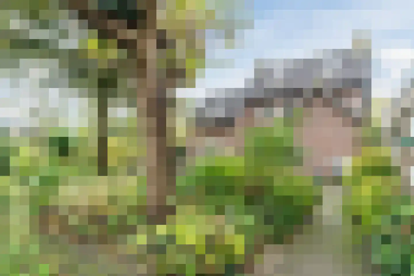 Gemeintje 4 Lithoijen thumbnail 42