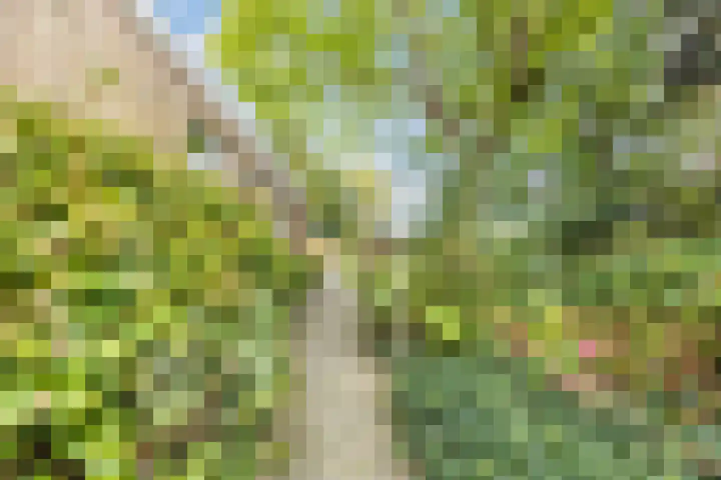 Gemeintje 4 Lithoijen thumbnail 45