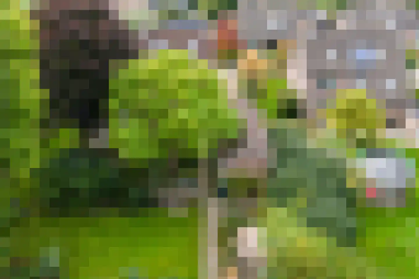 Gemeintje 4 Lithoijen thumbnail 47