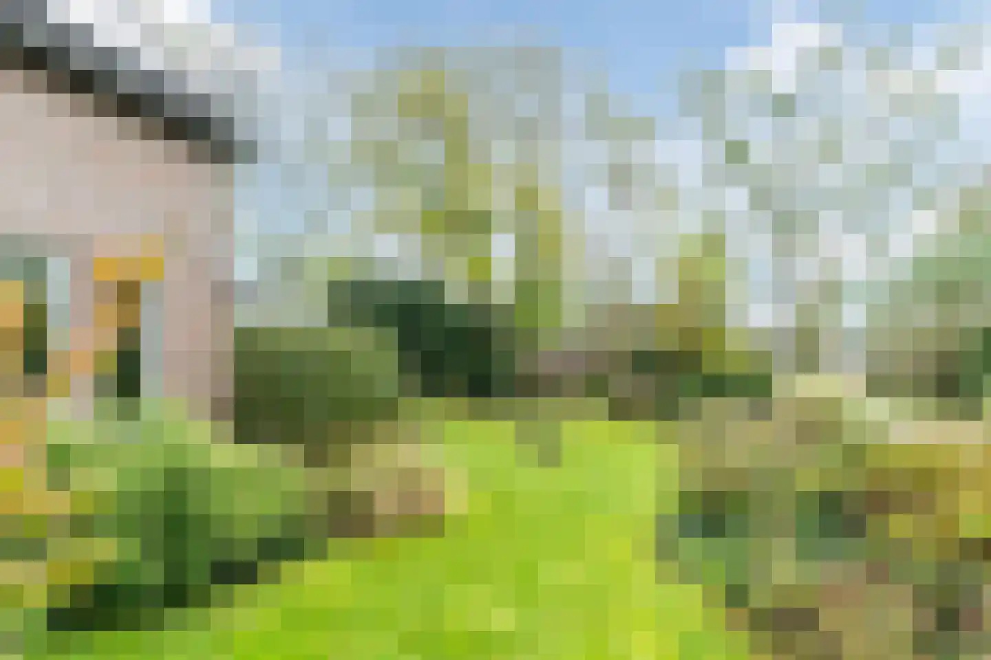 Gemeintje 4 Lithoijen thumbnail 48