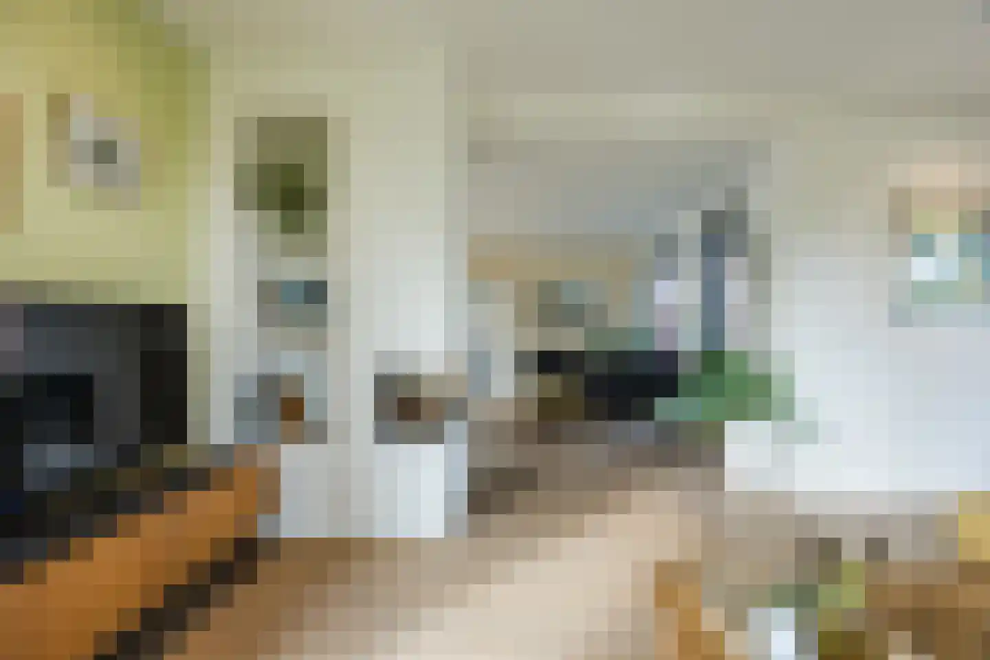 Gemeintje 4 Lithoijen thumbnail 5