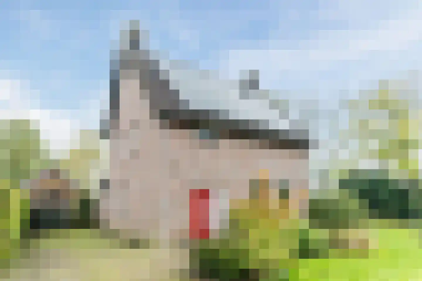 Gemeintje 4 Lithoijen thumbnail 50