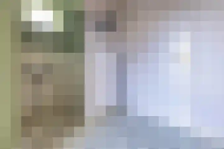 Gemene Bos 14 Bergen (NH) thumbnail 21
