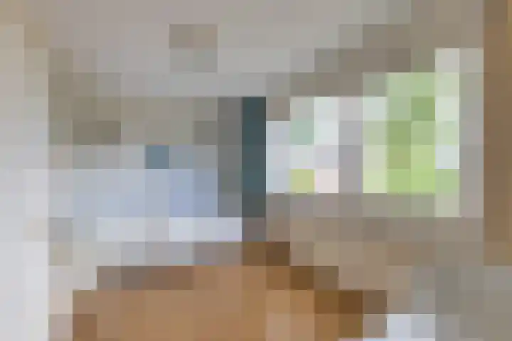 Gemene Bos 14 Bergen (NH) thumbnail 24
