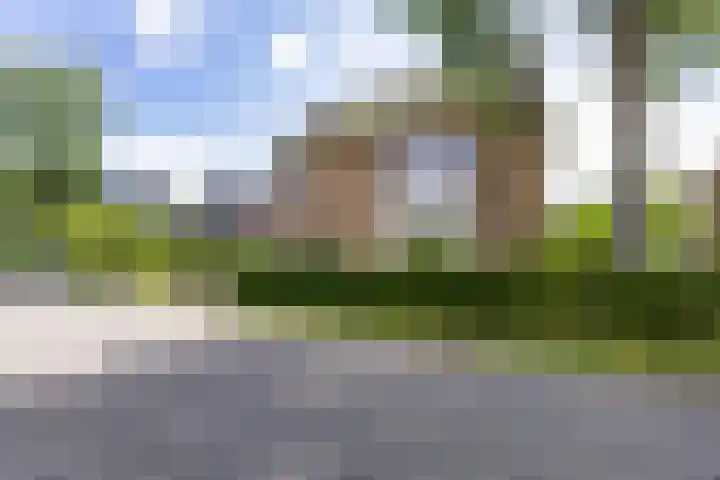 Gemene Bos 14 Bergen (NH) thumbnail 9