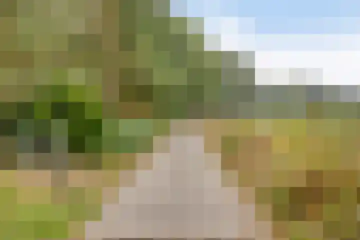 Gemertseweg 43 Bakel thumbnail 4
