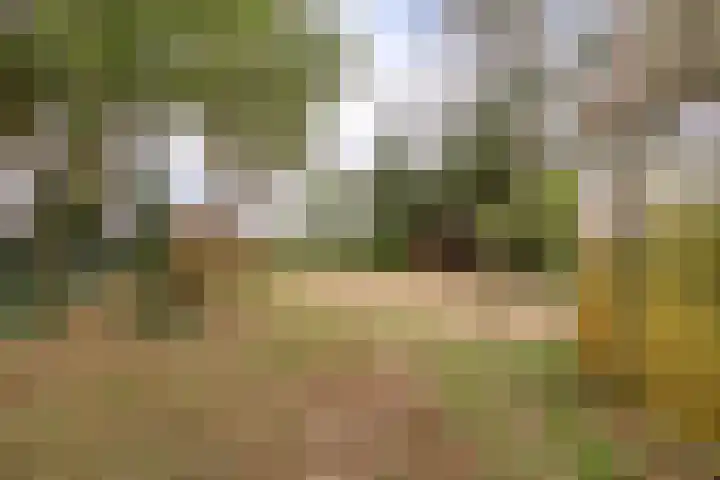 Gemertseweg 43 Bakel thumbnail 44
