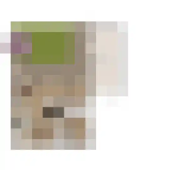 Gemertseweg 43 Bakel thumbnail 65