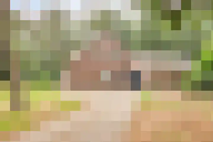 Gemertseweg 43 Bakel thumbnail 7