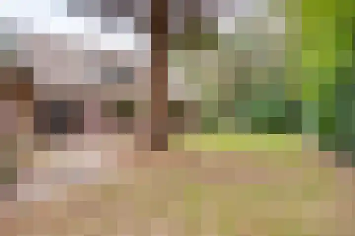 Gemertseweg 43 Bakel thumbnail 8