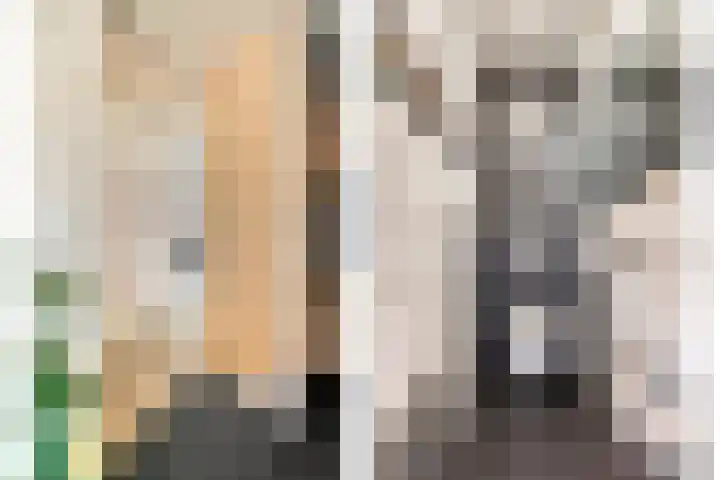 Gemertstraat 26 Oss thumbnail 17