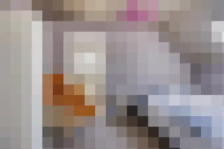 Gemertstraat 26 Oss thumbnail 25
