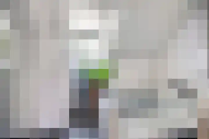 Gemertstraat 26 Oss thumbnail 29