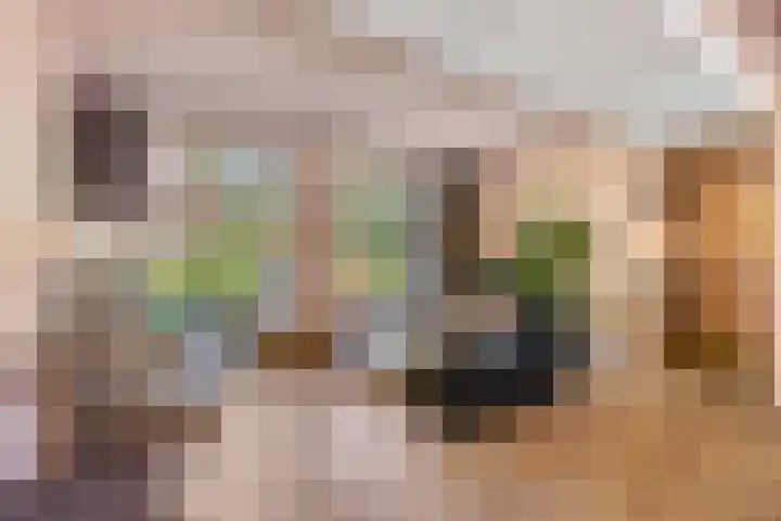 Gemertstraat 26 Oss thumbnail 4