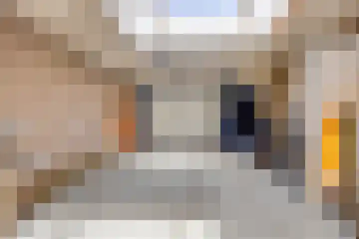 Gemertstraat 26 Oss thumbnail 40